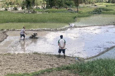 कृषि क्षेत्रमा आबद्ध जनसङ्ख्या घट्दै जाँदा उत्पादनमा कमी